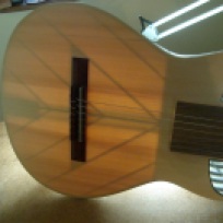 2011 Fusion Guitar - Bracing inspired by Jeremy Clark from 52 Instruments
